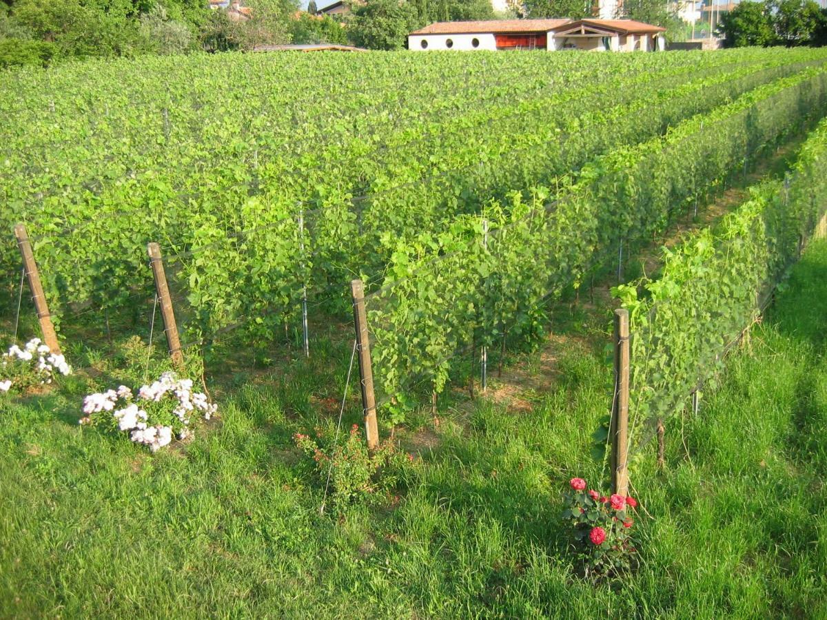Agriturismo Le Chiusure San Felice del Benaco Exteriér fotografie
